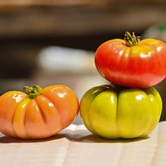 Tomates de Marmande